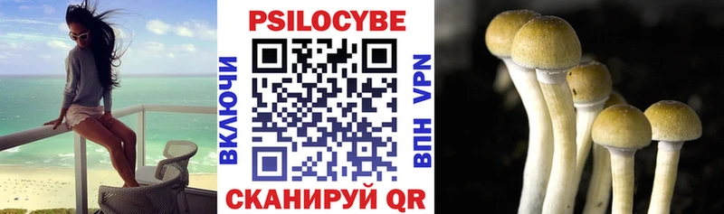 продажа наркотиков  гидра онион  Галлюциногенные грибы ЛСД  нарко площадка клад  Казань 