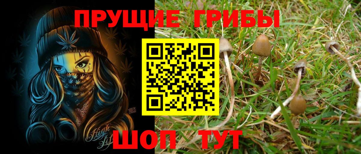 Псилоцибиновые грибы мицелий Казань